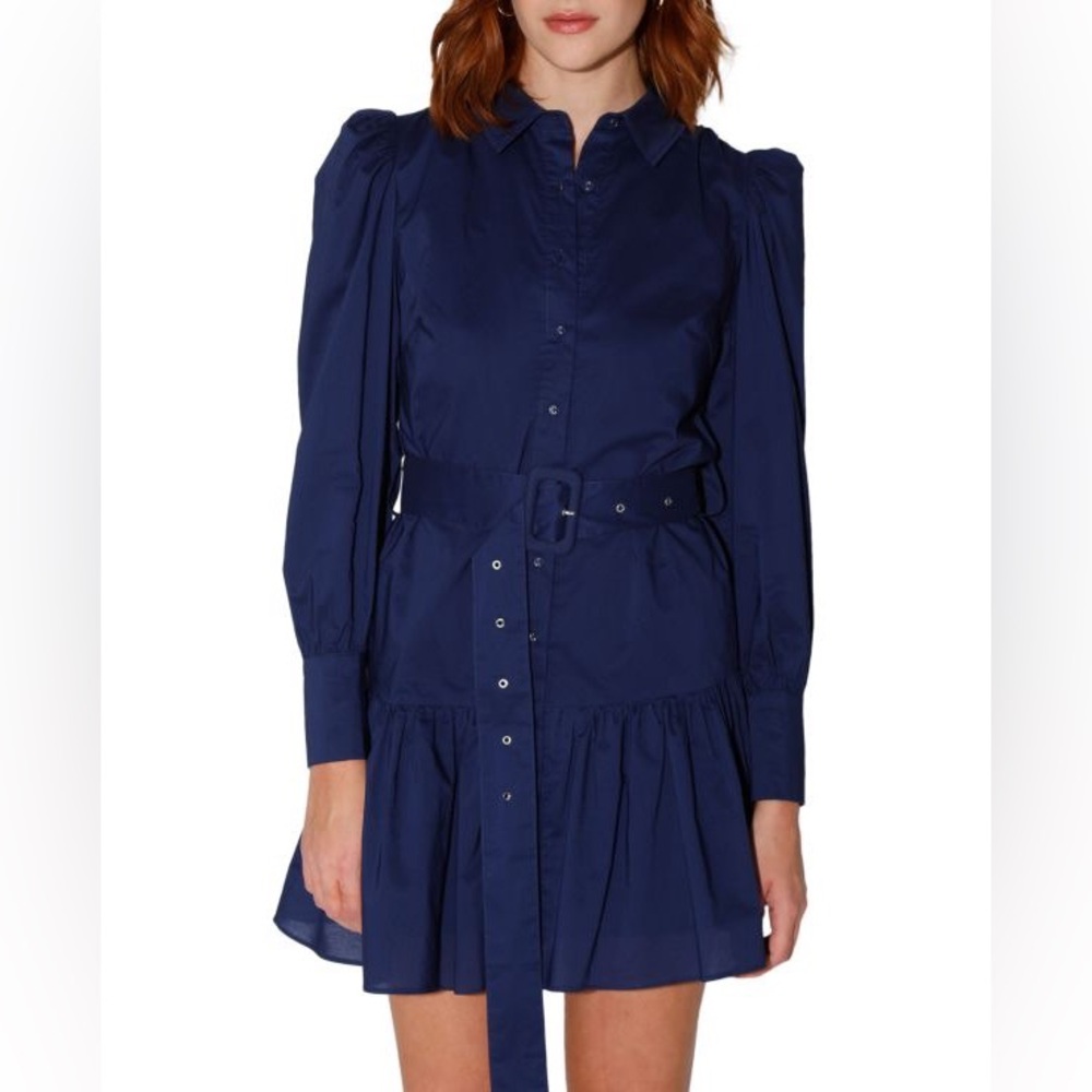 Walter Baker Tara Tiered Belted Dress